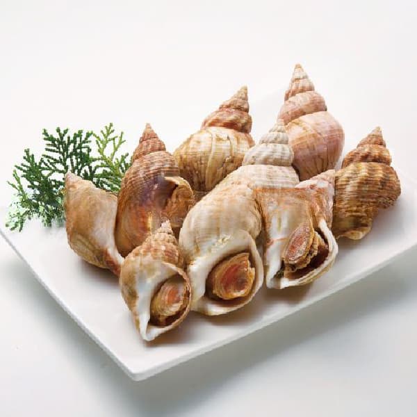 Ốc Bulot